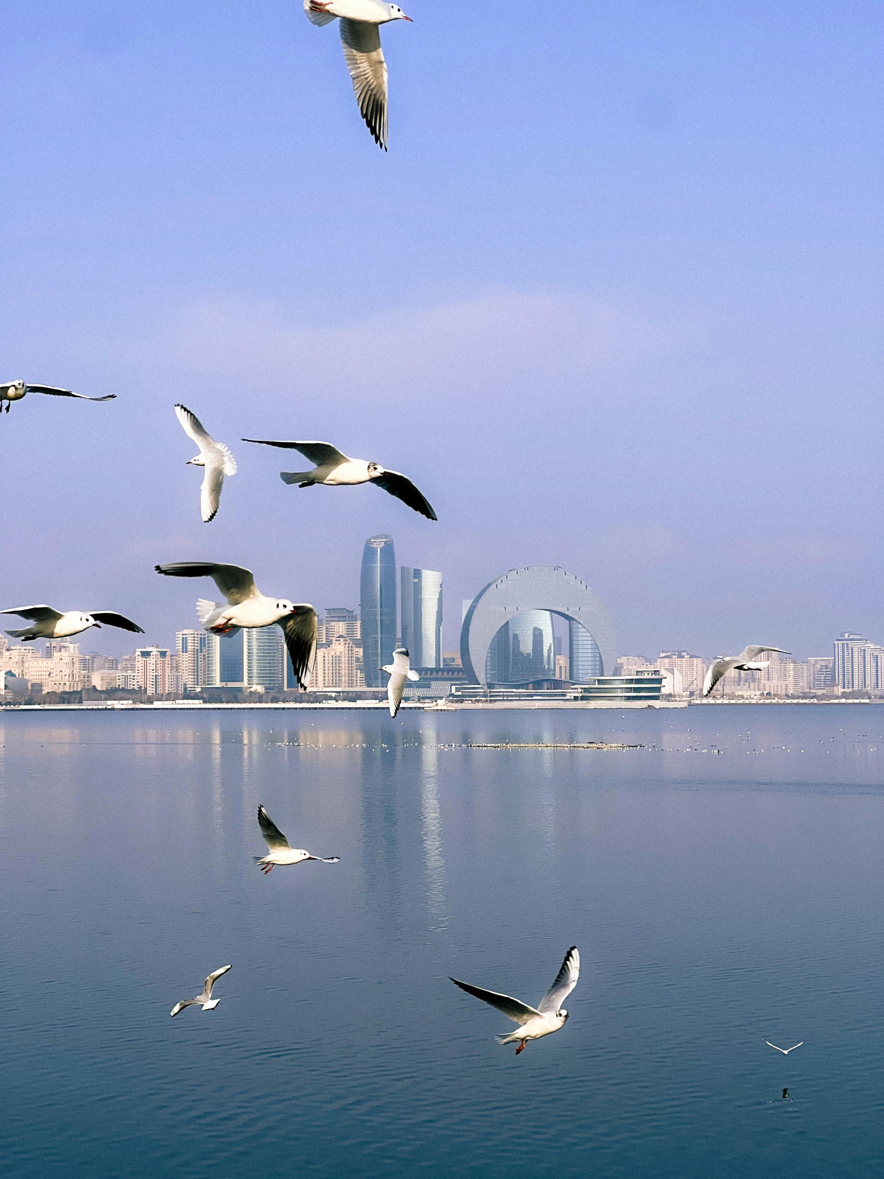 Premium Azerbaijan Escape